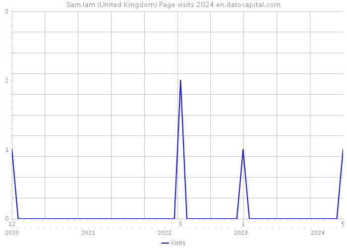 Sam Iam (United Kingdom) Page visits 2024 