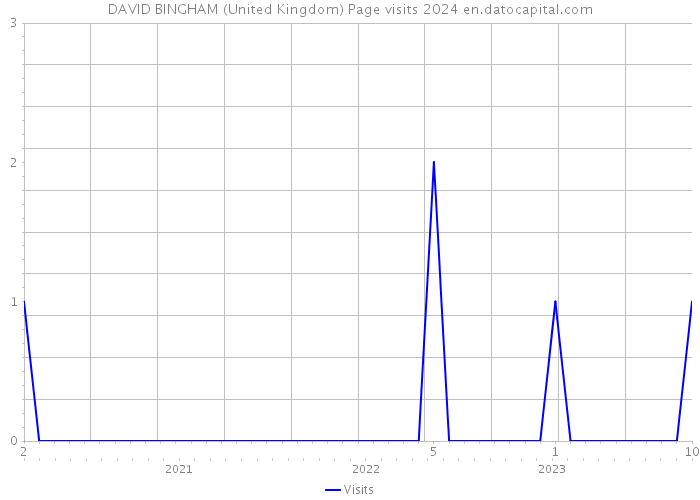 DAVID BINGHAM (United Kingdom) Page visits 2024 