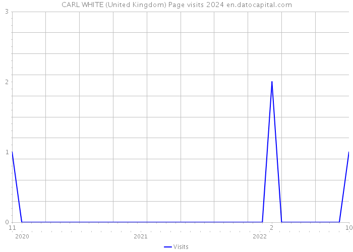 CARL WHITE (United Kingdom) Page visits 2024 