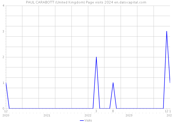 PAUL CARABOTT (United Kingdom) Page visits 2024 