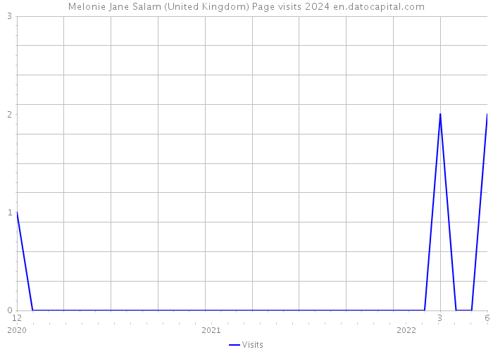 Melonie Jane Salam (United Kingdom) Page visits 2024 