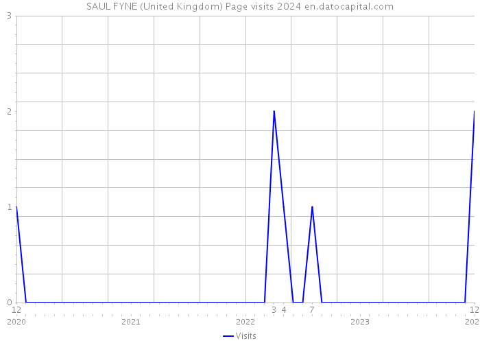 SAUL FYNE (United Kingdom) Page visits 2024 