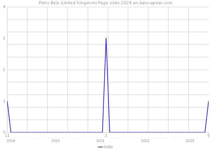 Petro Belz (United Kingdom) Page visits 2024 