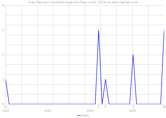 Ioan Pascaru (United Kingdom) Page visits 2024 
