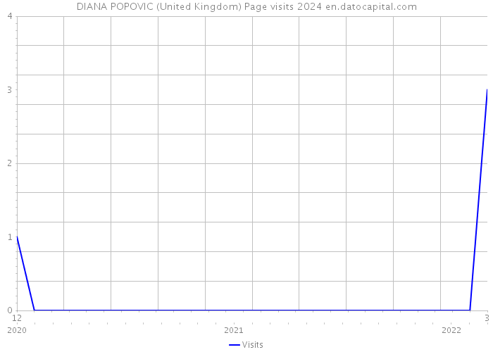 DIANA POPOVIC (United Kingdom) Page visits 2024 