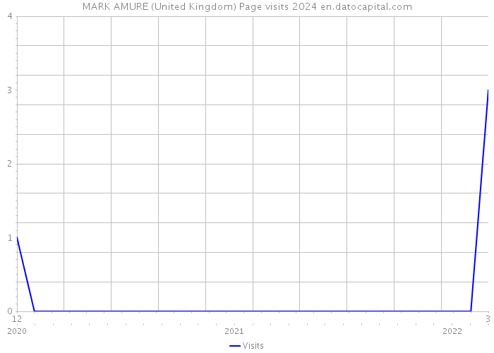 MARK AMURE (United Kingdom) Page visits 2024 