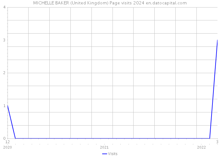 MICHELLE BAKER (United Kingdom) Page visits 2024 