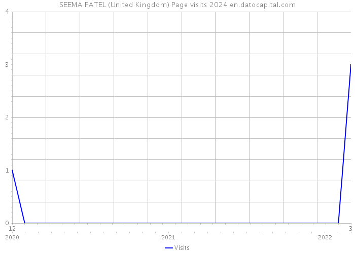SEEMA PATEL (United Kingdom) Page visits 2024 