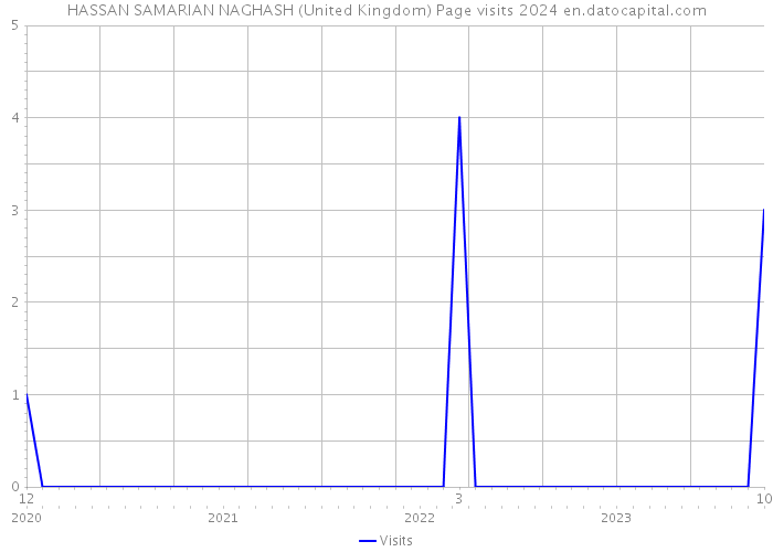 HASSAN SAMARIAN NAGHASH (United Kingdom) Page visits 2024 