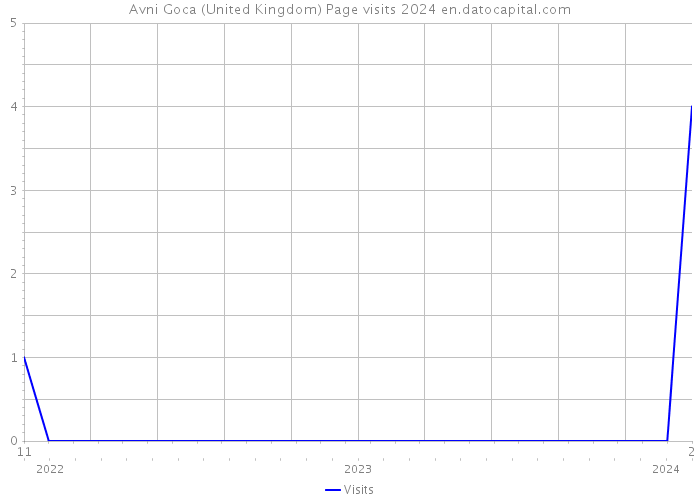 Avni Goca (United Kingdom) Page visits 2024 