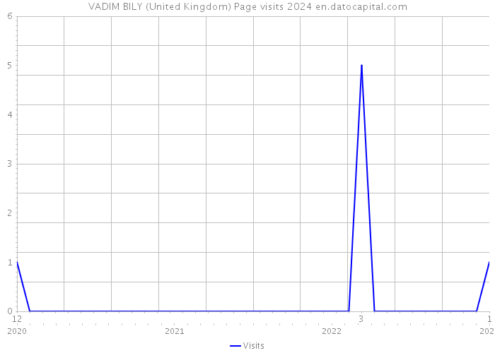 VADIM BILY (United Kingdom) Page visits 2024 
