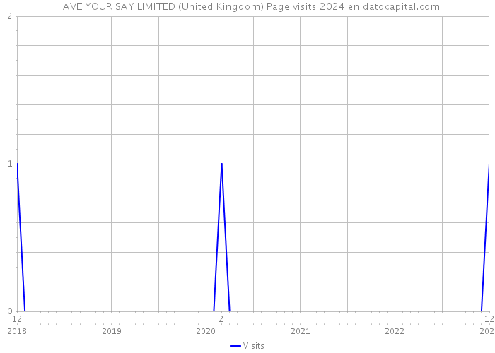 HAVE YOUR SAY LIMITED (United Kingdom) Page visits 2024 