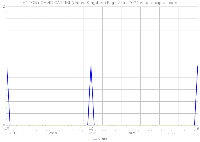 ANTONY DAVID CATTINI (United Kingdom) Page visits 2024 