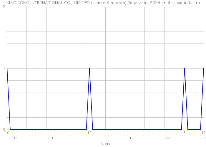 XING RONG INTERNATIONAL CO., LIMITED (United Kingdom) Page visits 2024 