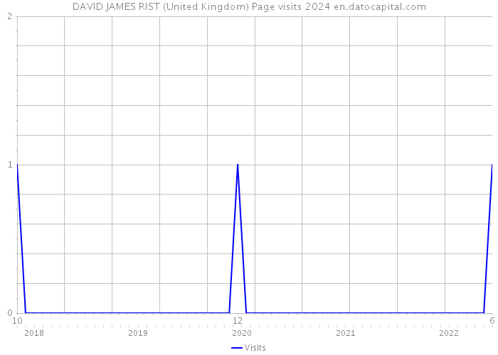 DAVID JAMES RIST (United Kingdom) Page visits 2024 