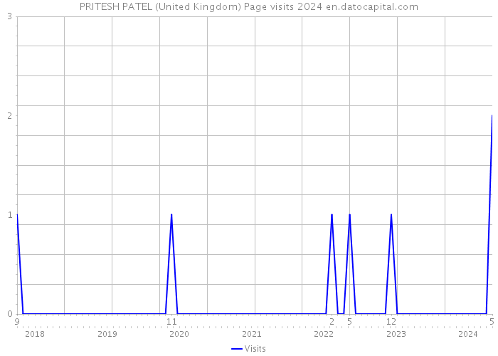PRITESH PATEL (United Kingdom) Page visits 2024 