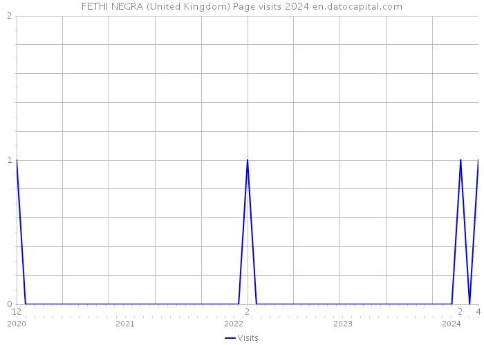 FETHI NEGRA (United Kingdom) Page visits 2024 