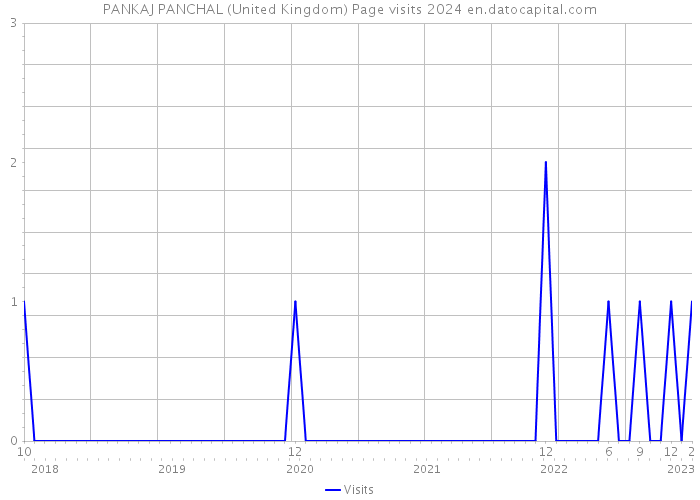 PANKAJ PANCHAL (United Kingdom) Page visits 2024 