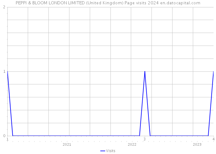 PEPPI & BLOOM LONDON LIMITED (United Kingdom) Page visits 2024 