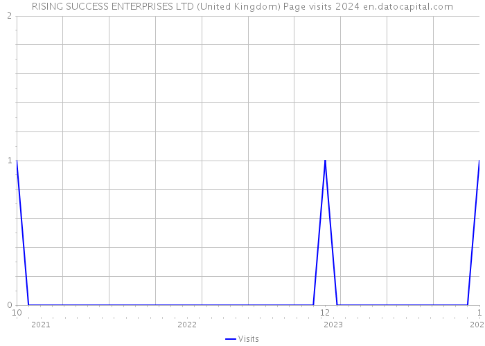 RISING SUCCESS ENTERPRISES LTD (United Kingdom) Page visits 2024 