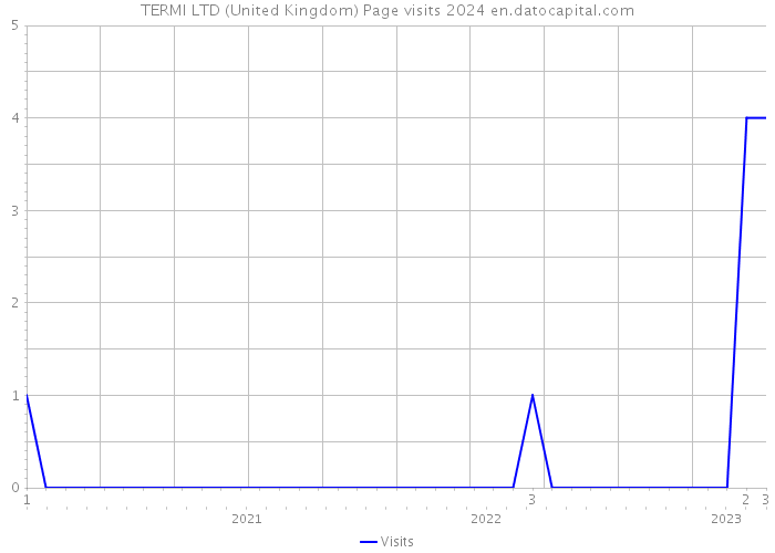 TERMI LTD (United Kingdom) Page visits 2024 