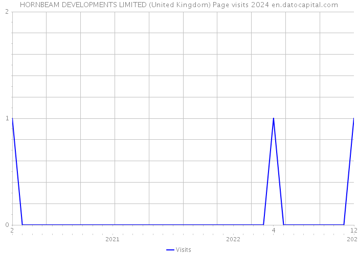 HORNBEAM DEVELOPMENTS LIMITED (United Kingdom) Page visits 2024 