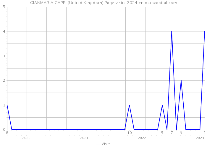 GIANMARIA CAPPI (United Kingdom) Page visits 2024 
