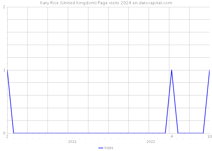 Katy Rice (United Kingdom) Page visits 2024 