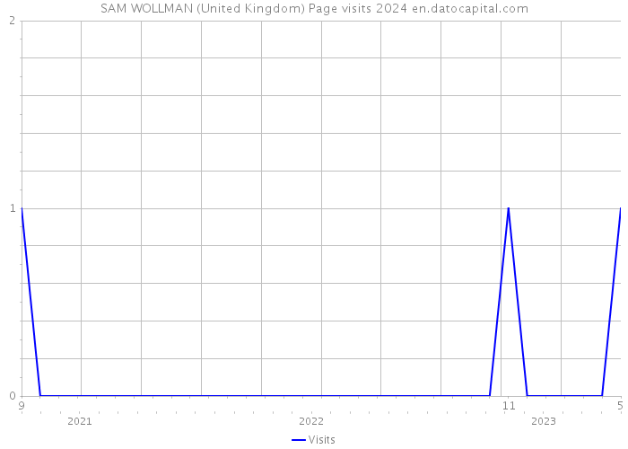 SAM WOLLMAN (United Kingdom) Page visits 2024 