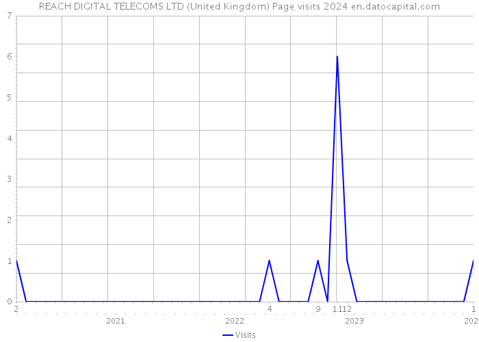 REACH DIGITAL TELECOMS LTD (United Kingdom) Page visits 2024 