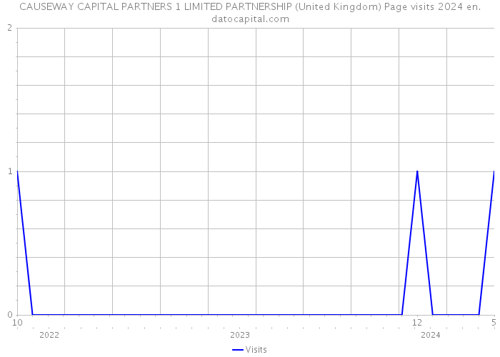 CAUSEWAY CAPITAL PARTNERS 1 LIMITED PARTNERSHIP (United Kingdom) Page visits 2024 
