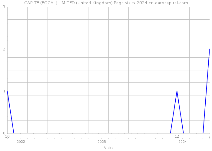 CAPITE (FOCAL) LIMITED (United Kingdom) Page visits 2024 