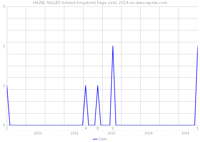 HAZEL SALLES (United Kingdom) Page visits 2024 