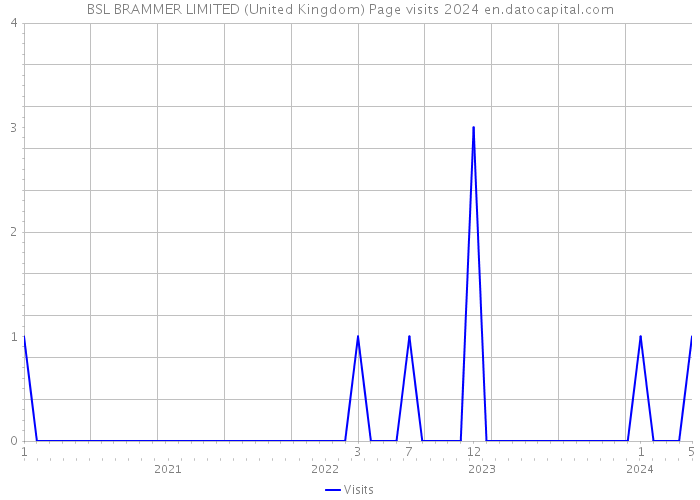 BSL BRAMMER LIMITED (United Kingdom) Page visits 2024 