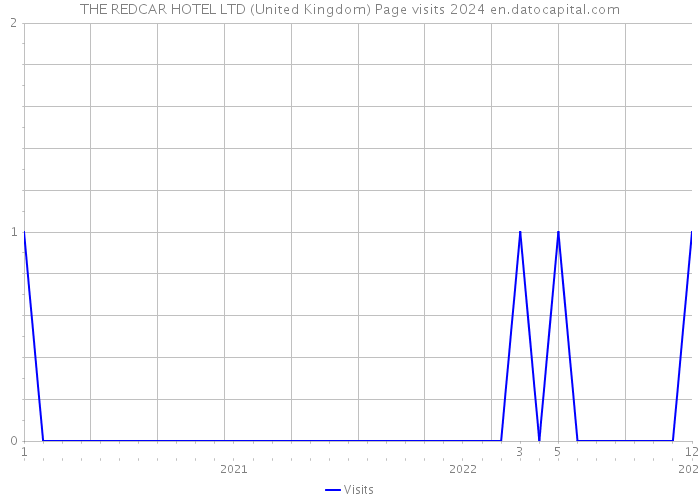 THE REDCAR HOTEL LTD (United Kingdom) Page visits 2024 