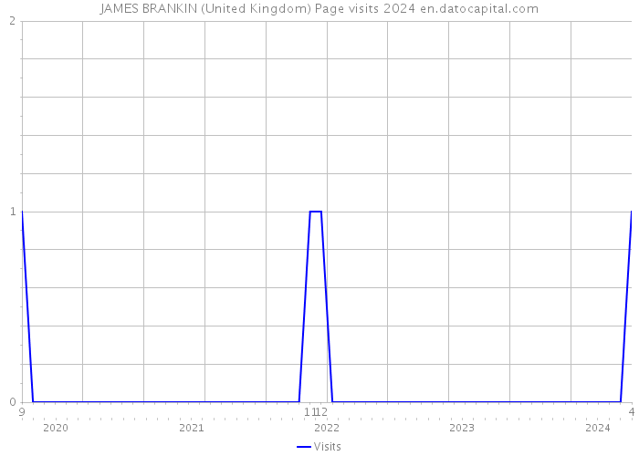 JAMES BRANKIN (United Kingdom) Page visits 2024 