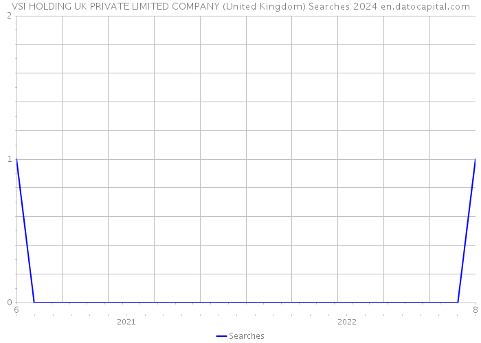 VSI HOLDING UK PRIVATE LIMITED COMPANY (United Kingdom) Searches 2024 