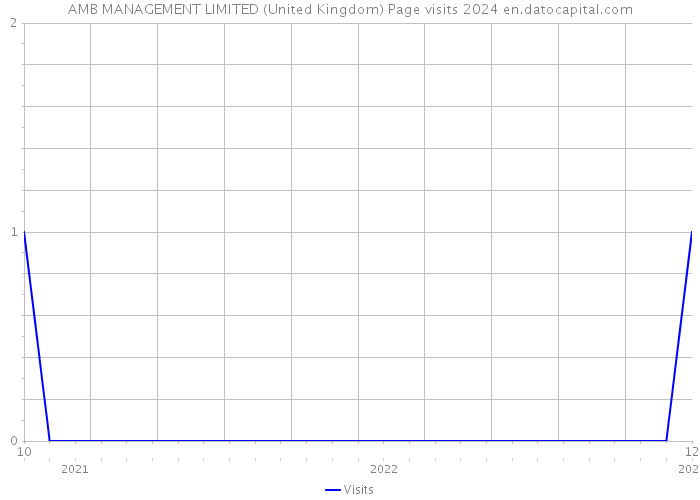 AMB MANAGEMENT LIMITED (United Kingdom) Page visits 2024 
