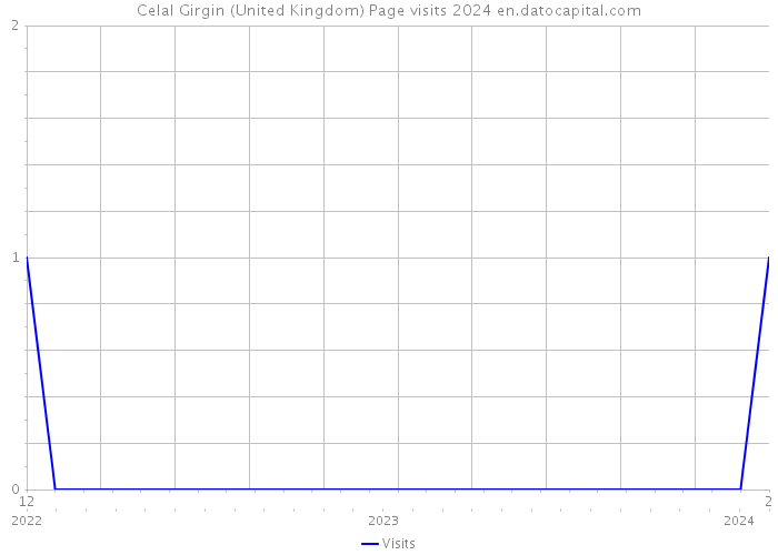 Celal Girgin (United Kingdom) Page visits 2024 