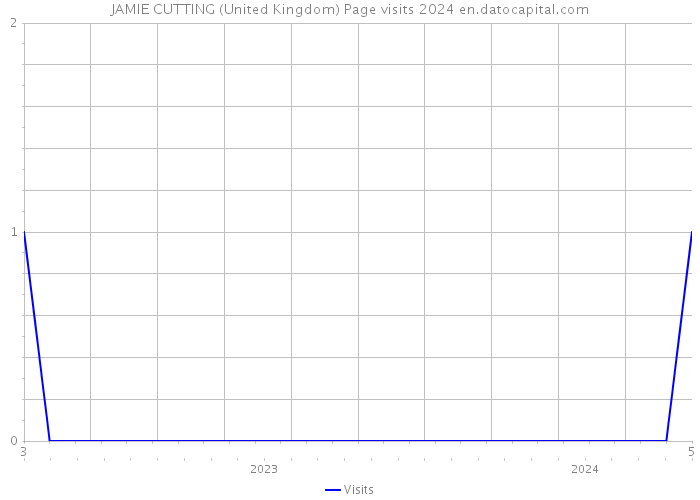 JAMIE CUTTING (United Kingdom) Page visits 2024 