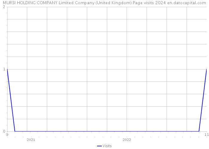 MURSI HOLDING COMPANY Limited Company (United Kingdom) Page visits 2024 