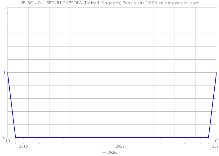NELSON OLUSEGUN OKESOLA (United Kingdom) Page visits 2024 