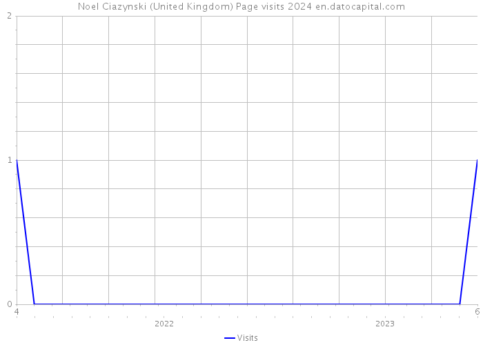 Noel Ciazynski (United Kingdom) Page visits 2024 