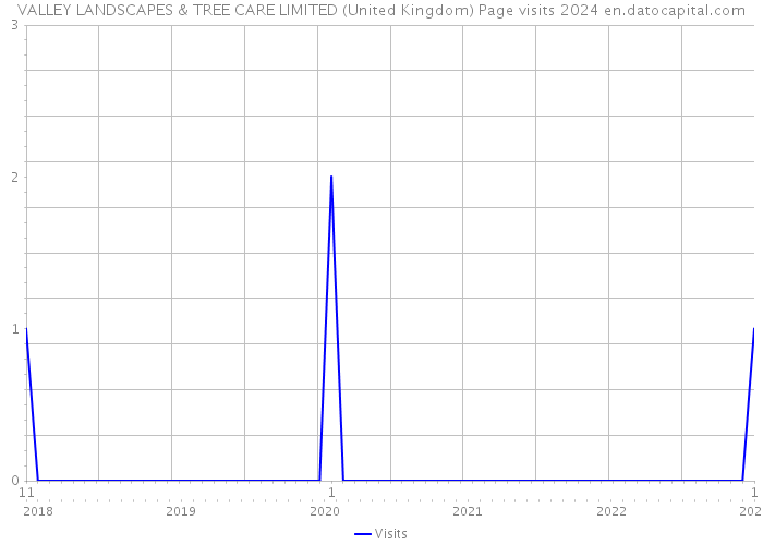VALLEY LANDSCAPES & TREE CARE LIMITED (United Kingdom) Page visits 2024 