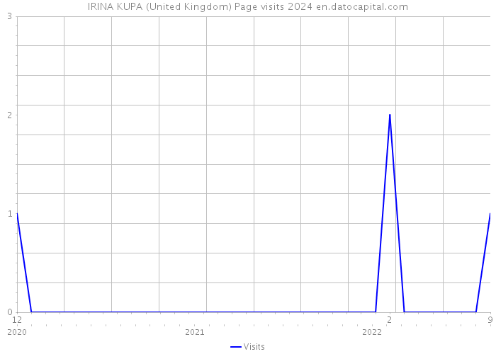 IRINA KUPA (United Kingdom) Page visits 2024 