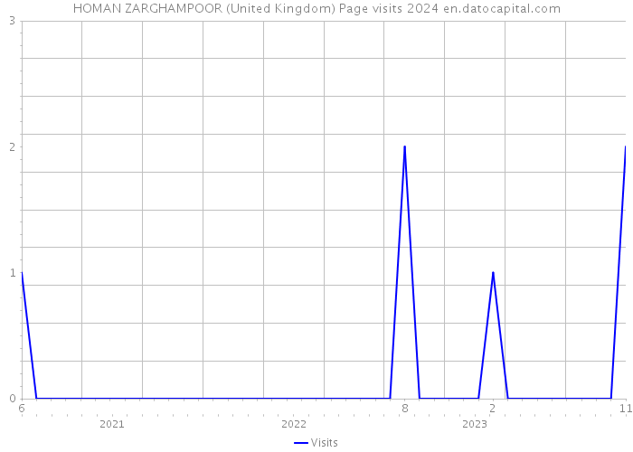 HOMAN ZARGHAMPOOR (United Kingdom) Page visits 2024 