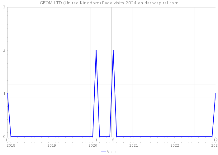 GEOM LTD (United Kingdom) Page visits 2024 