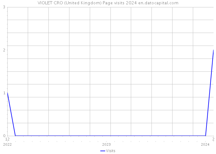 VIOLET CRO (United Kingdom) Page visits 2024 