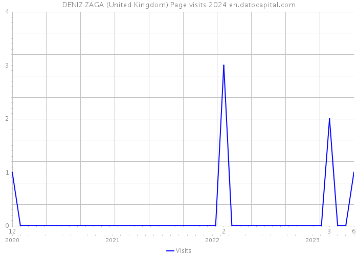 DENIZ ZAGA (United Kingdom) Page visits 2024 