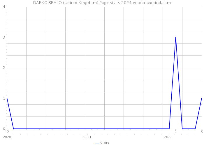 DARKO BRALO (United Kingdom) Page visits 2024 